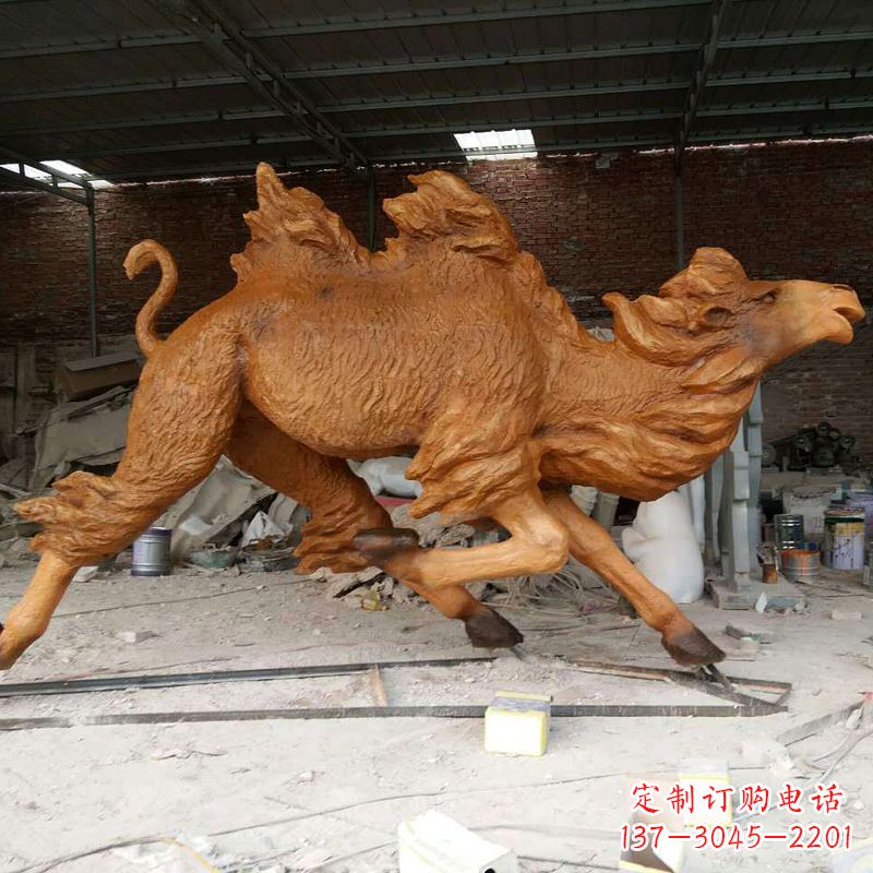 湖州活力四射的骆驼