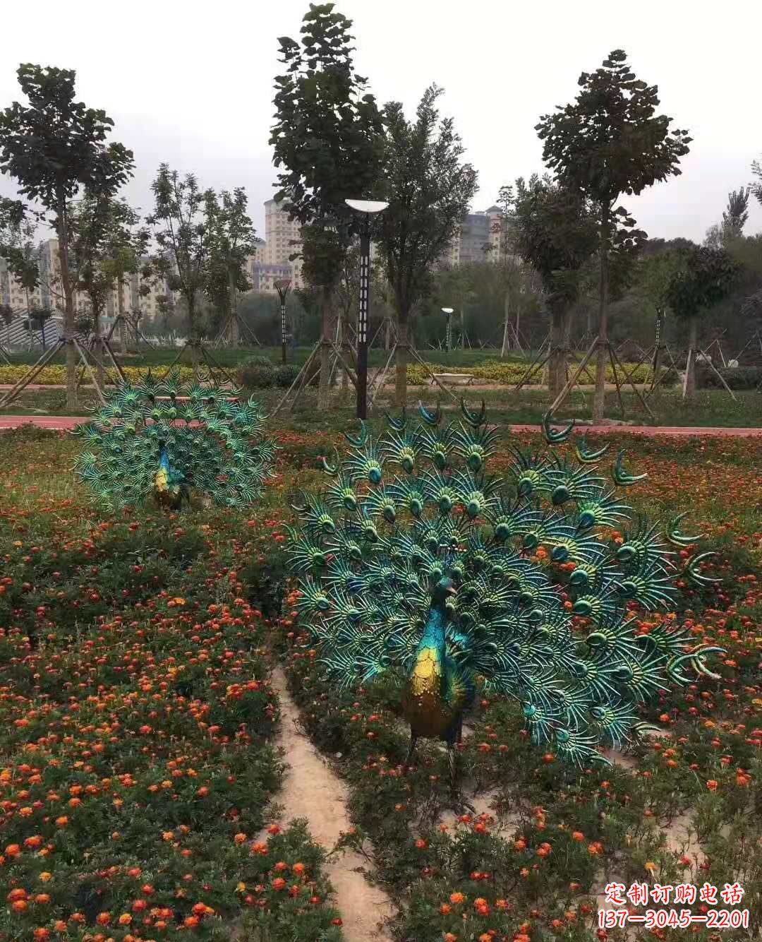 湖州不锈钢彩绘孔雀雕塑