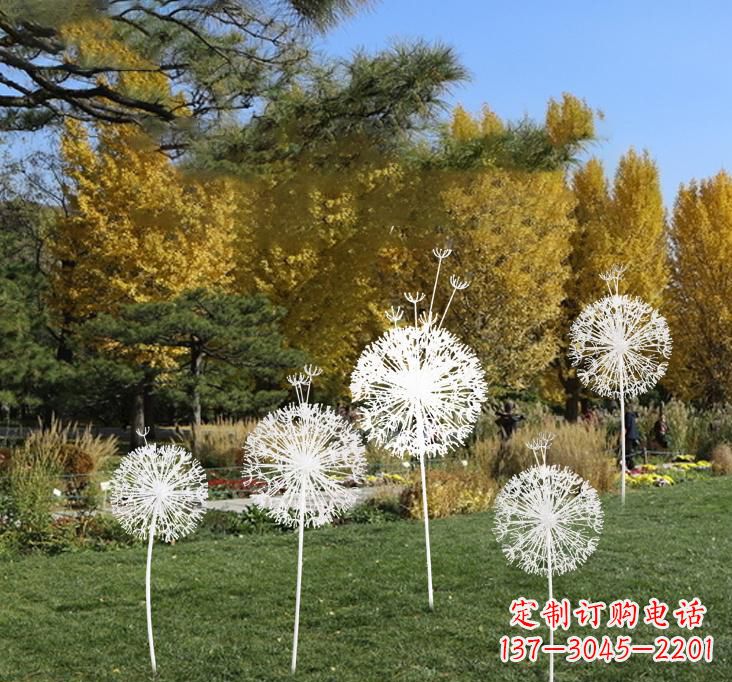 湖州不锈钢蒲公英景观雕塑艺术与美的完美结合