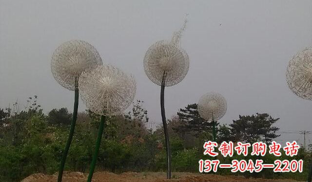 湖州蒲公英的绚丽多彩