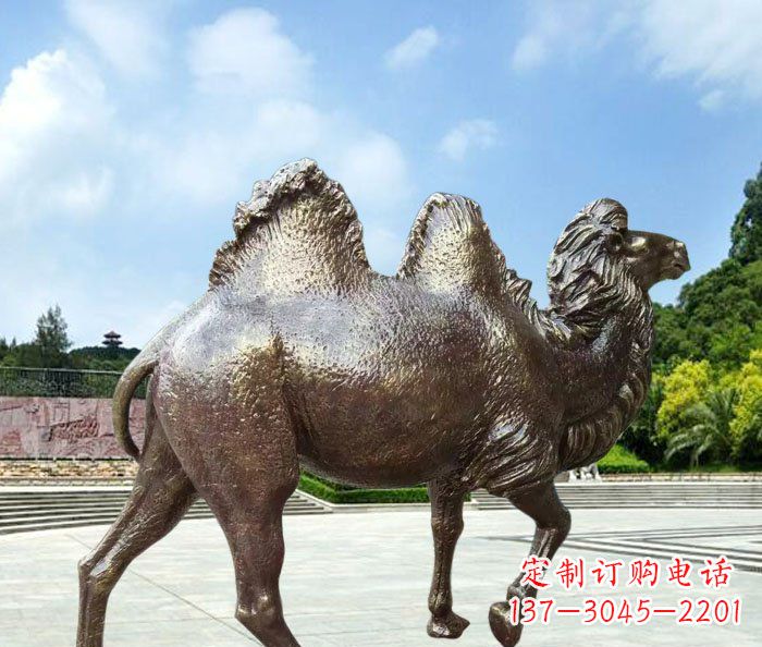 湖州欣赏骆驼美感,购买骆驼铜雕