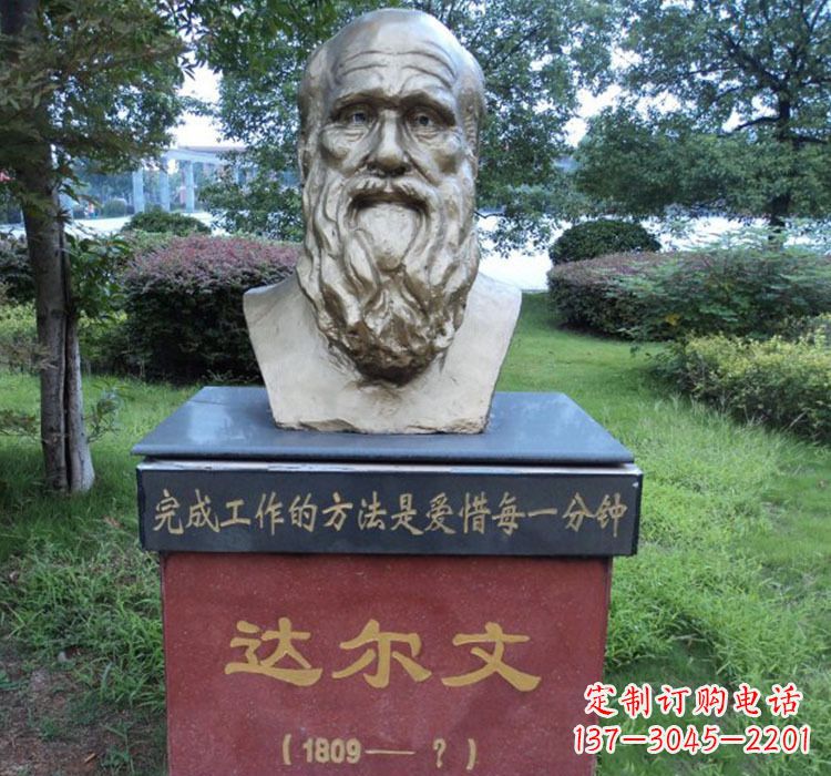 湖州铜雕达尔文头像雕塑