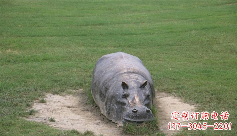 湖州铜雕趴着的河马