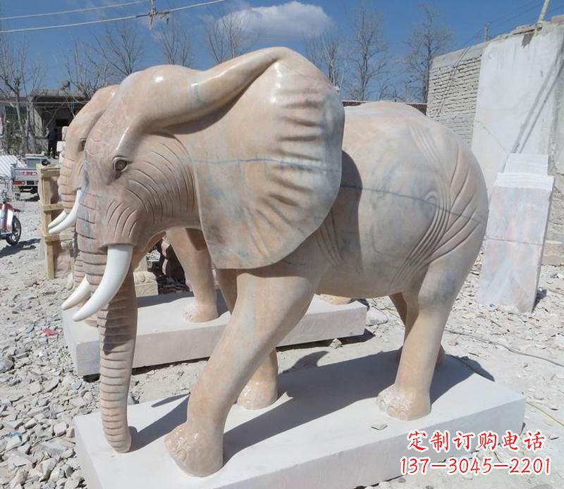 湖州晚霞红卷鼻大象