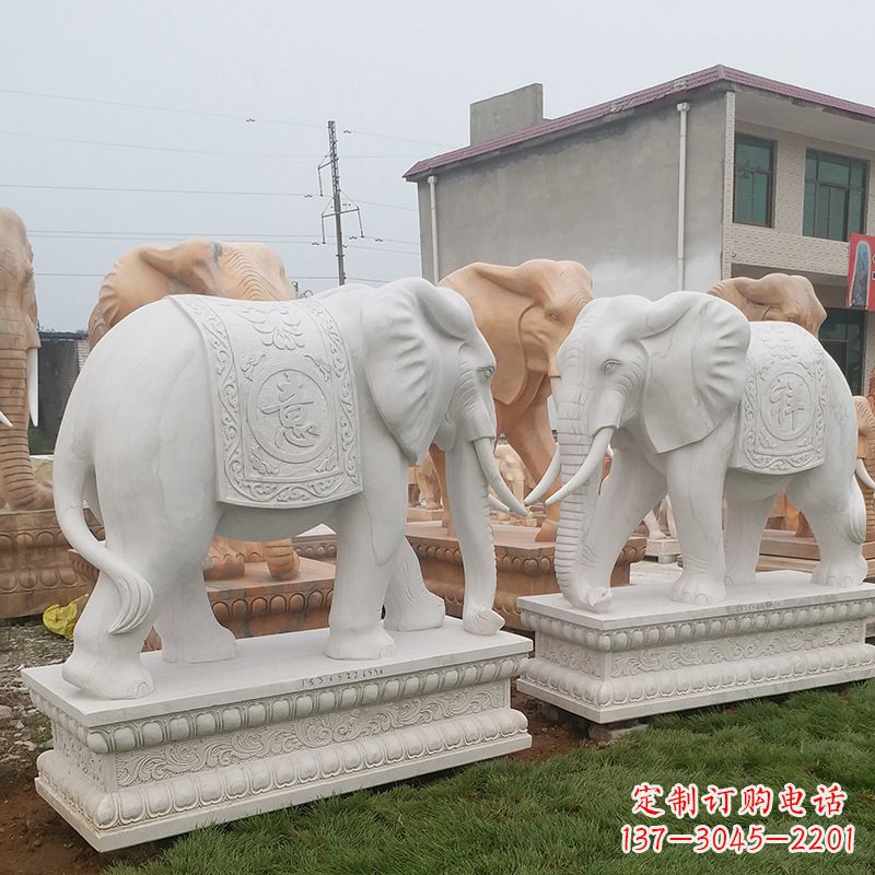 湖州学校石雕大象